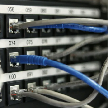 altus economics professional services Telecommunications
